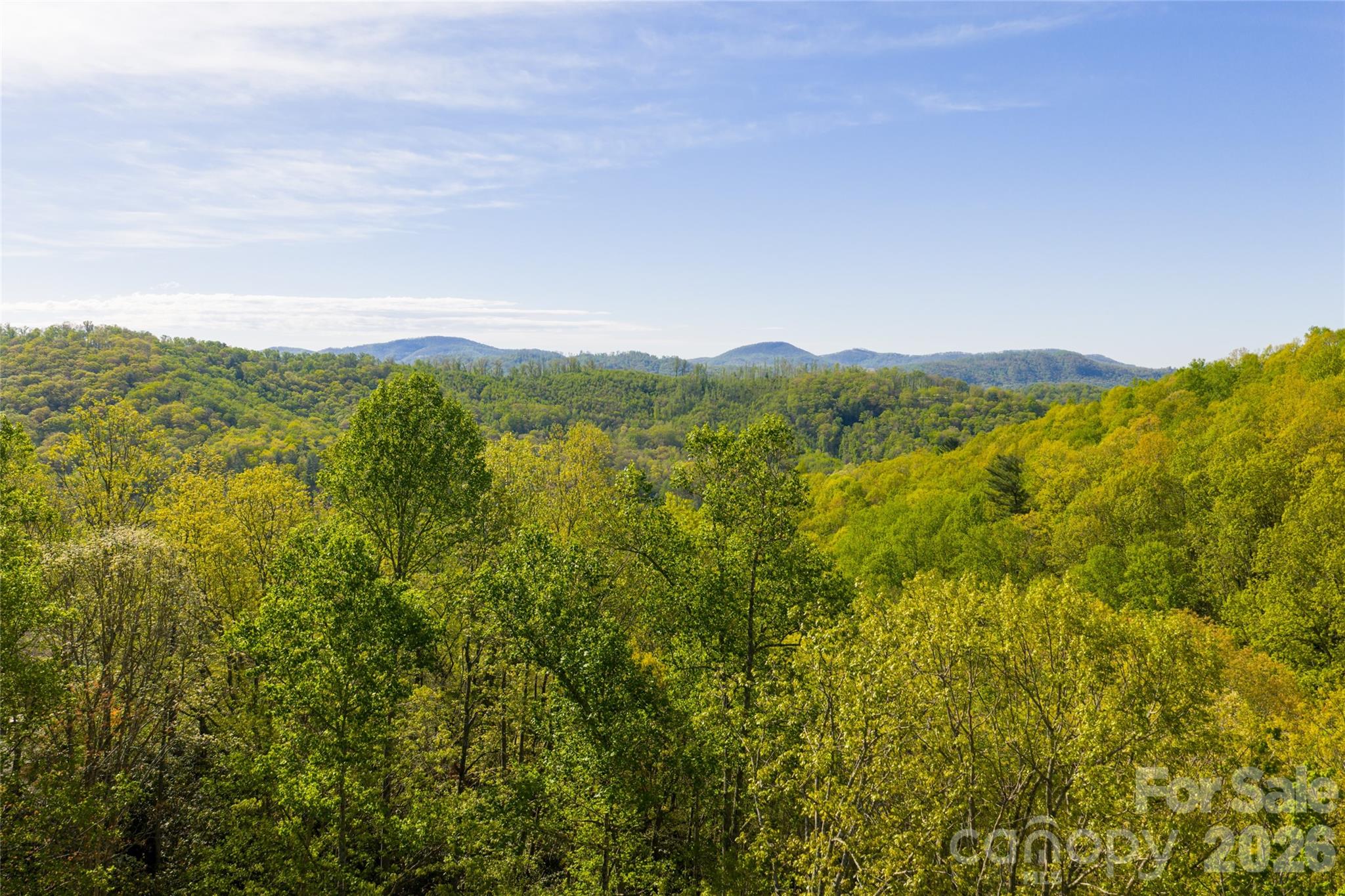36 Snowshoe Drive Asheville NC 28803
