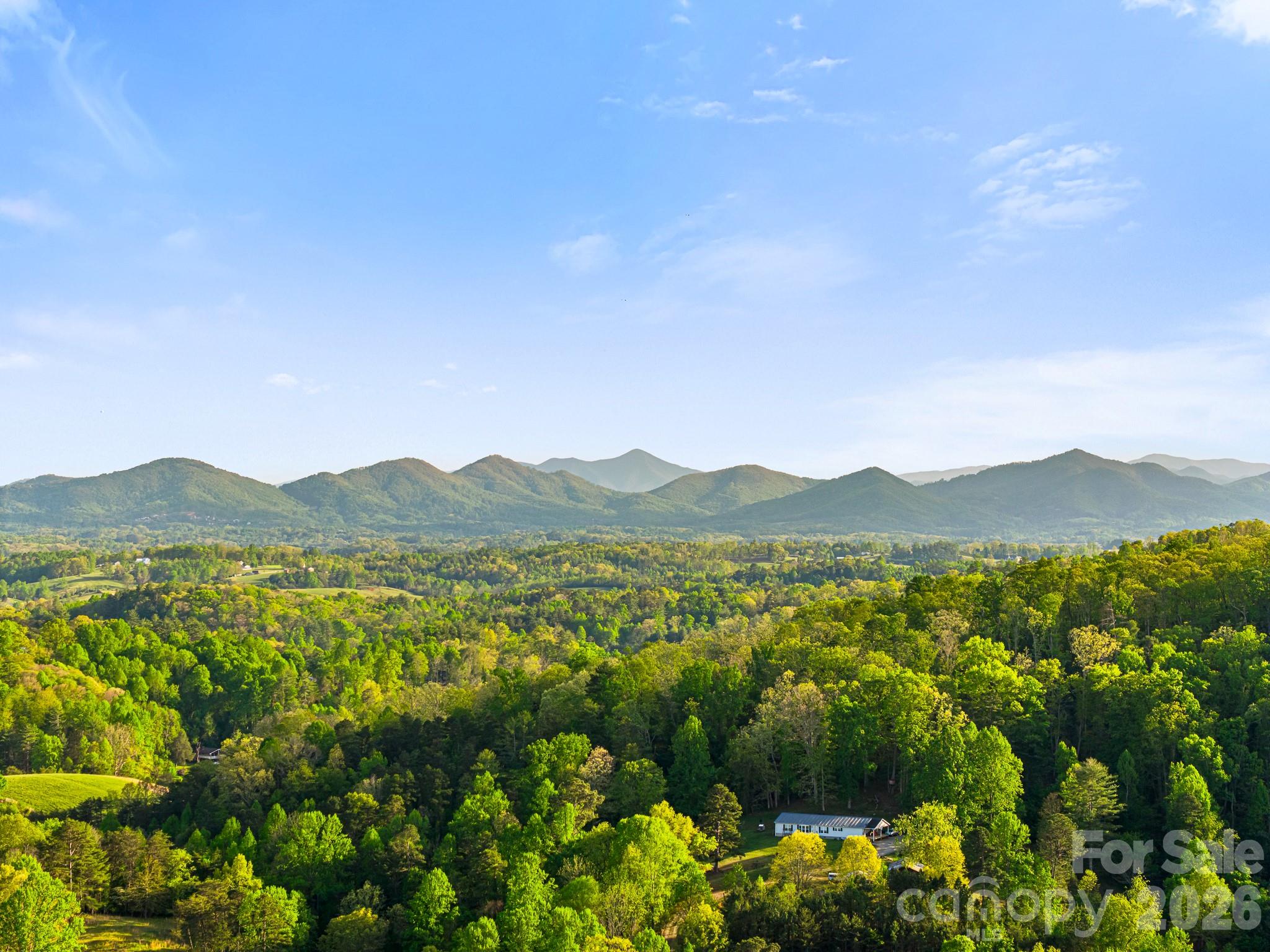 40 Firefly Ridge Trail Alexander NC 28701