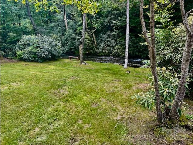 7810 Little Snowbird Road Robbinsville NC 28771