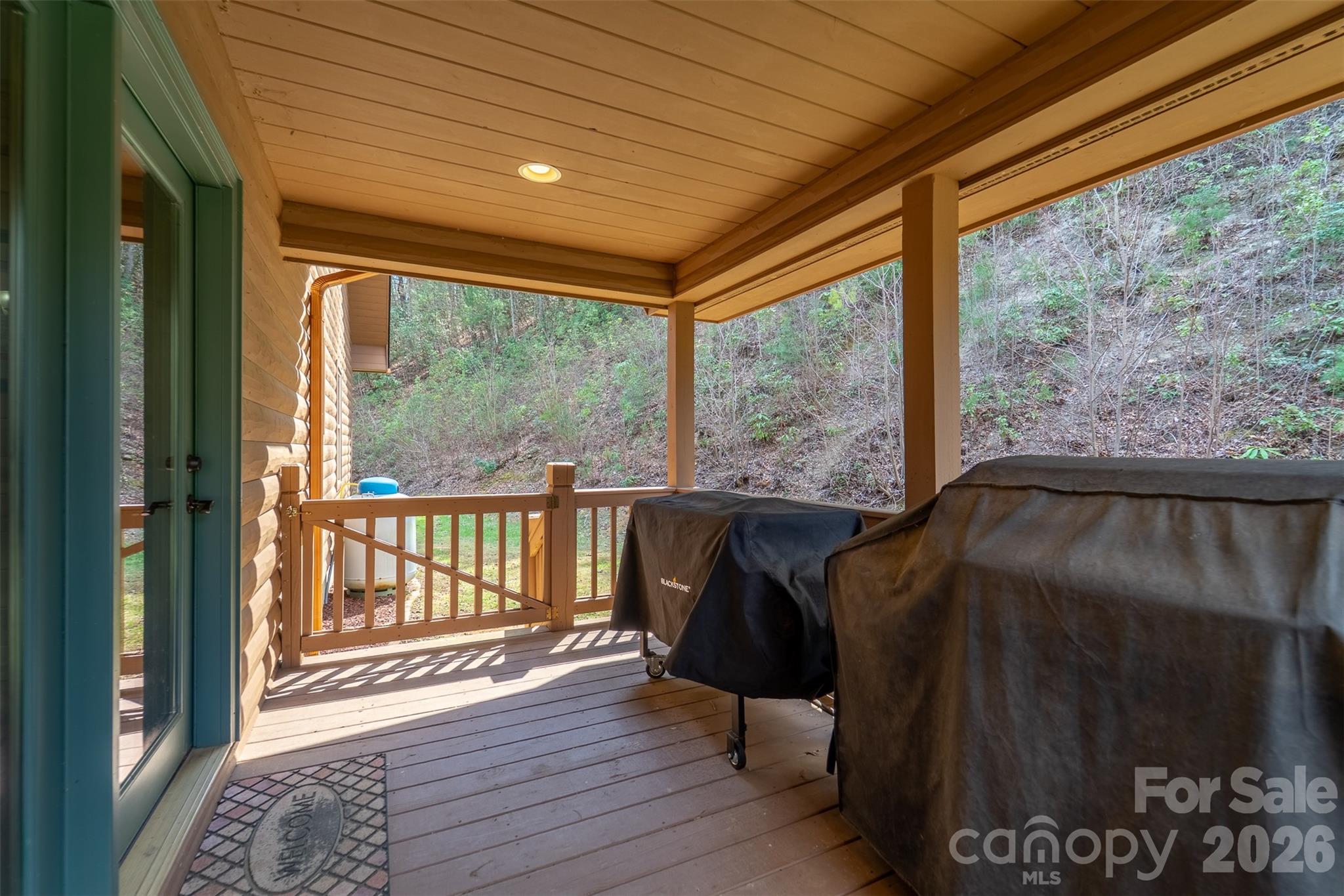 1960 Atoah Road Robbinsville NC 28771