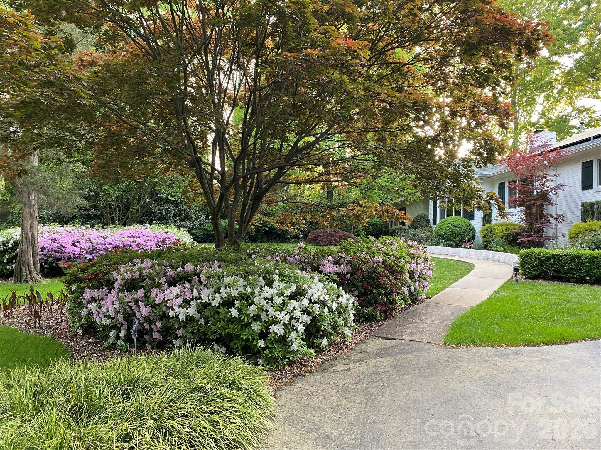 1330 Cedar Lane Charlotte NC 28226