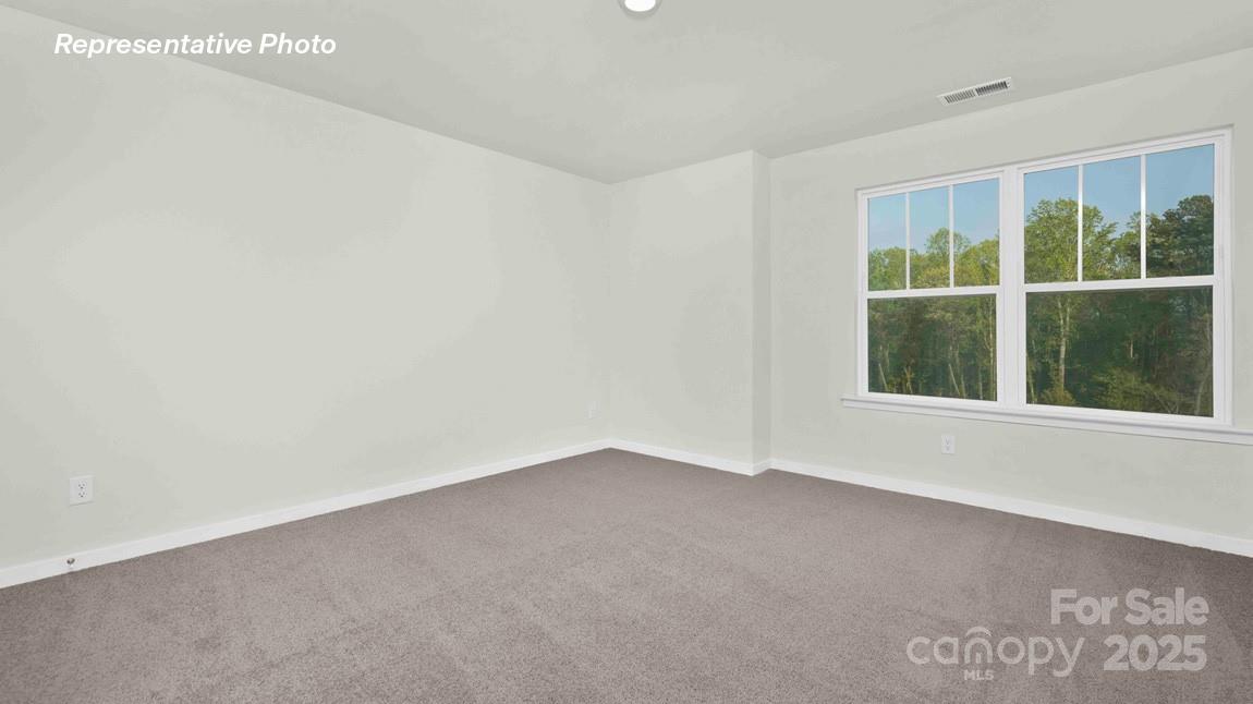 2665 Goose Fair Road Maiden NC 28650