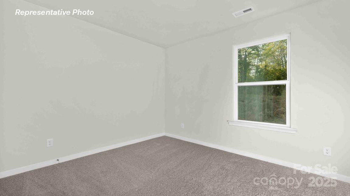 2665 Goose Fair Road Maiden NC 28650