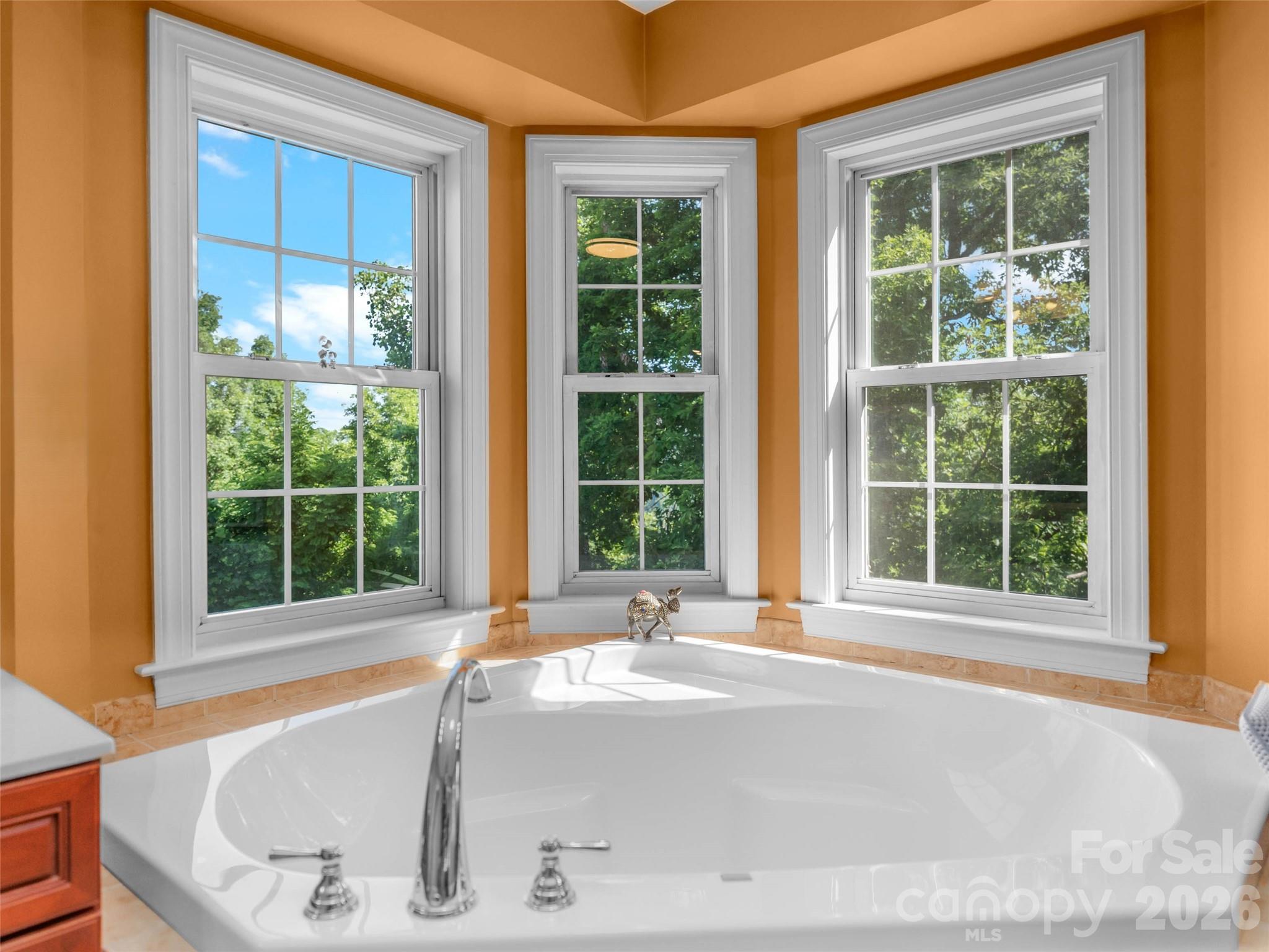 350 Vista Point Drive Weaverville NC 28787