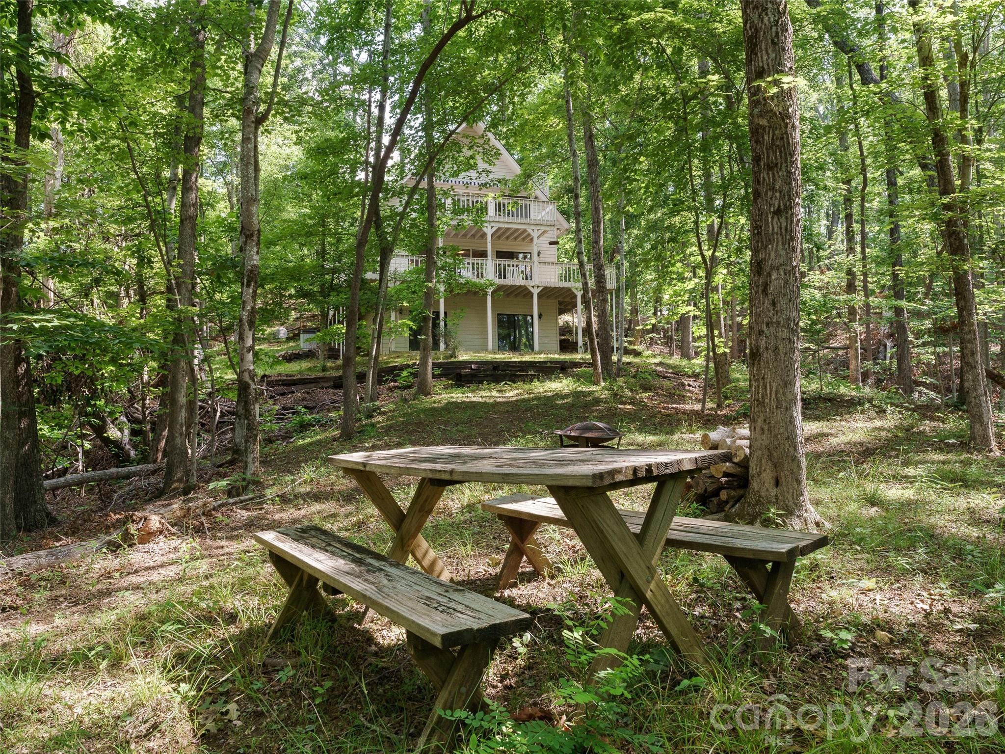 43 Hungryneck Hollow Lane Saluda NC 28773
