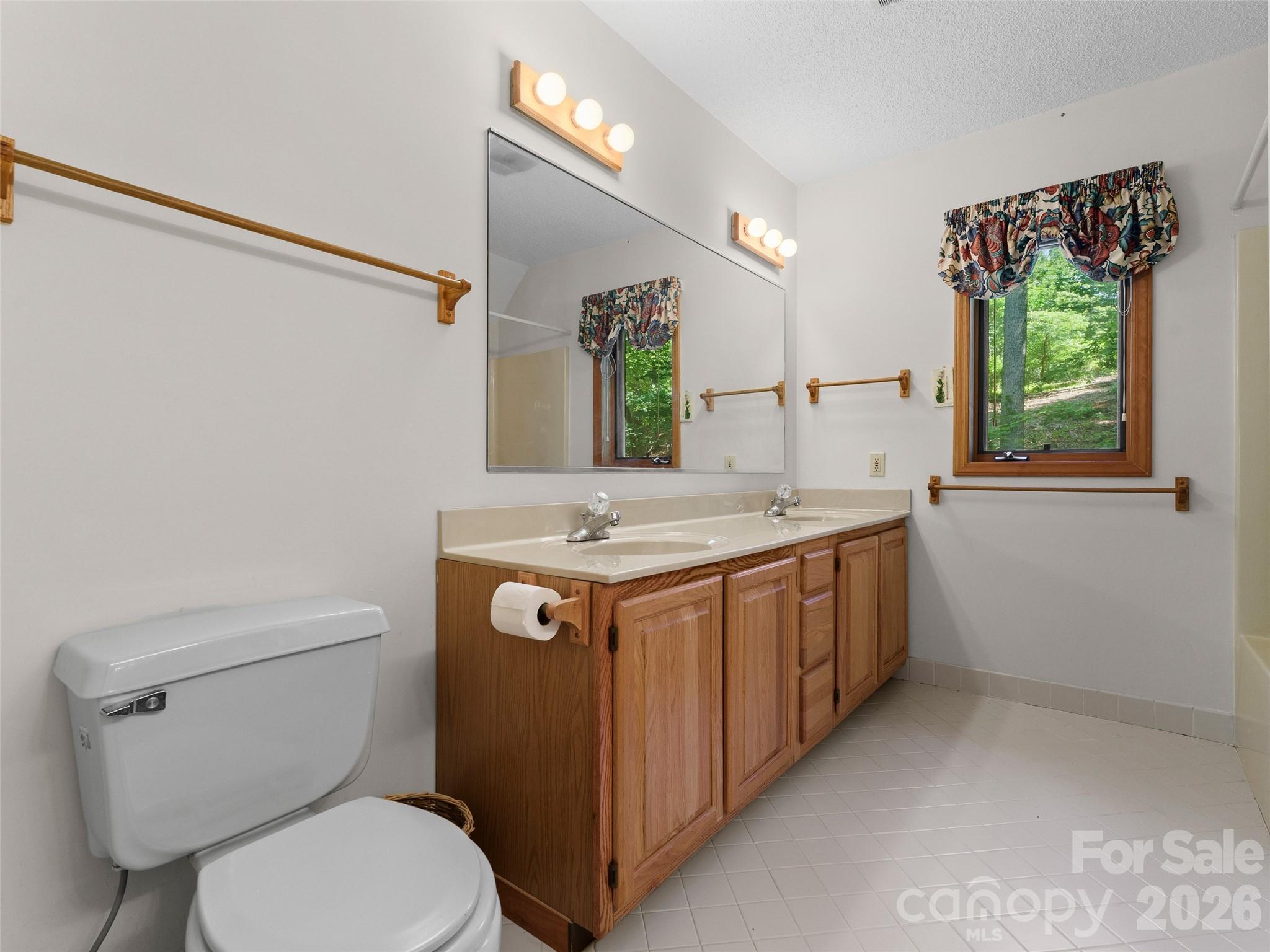 43 Hungryneck Hollow Lane Saluda NC 28773