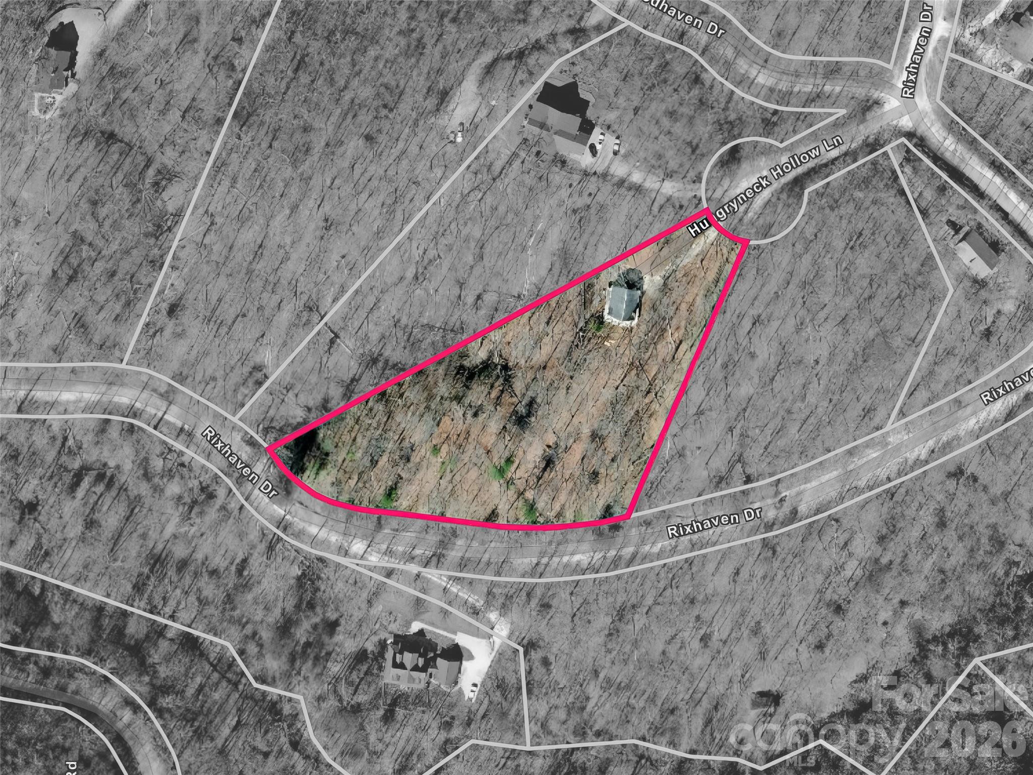 43 Hungryneck Hollow Lane Saluda NC 28773