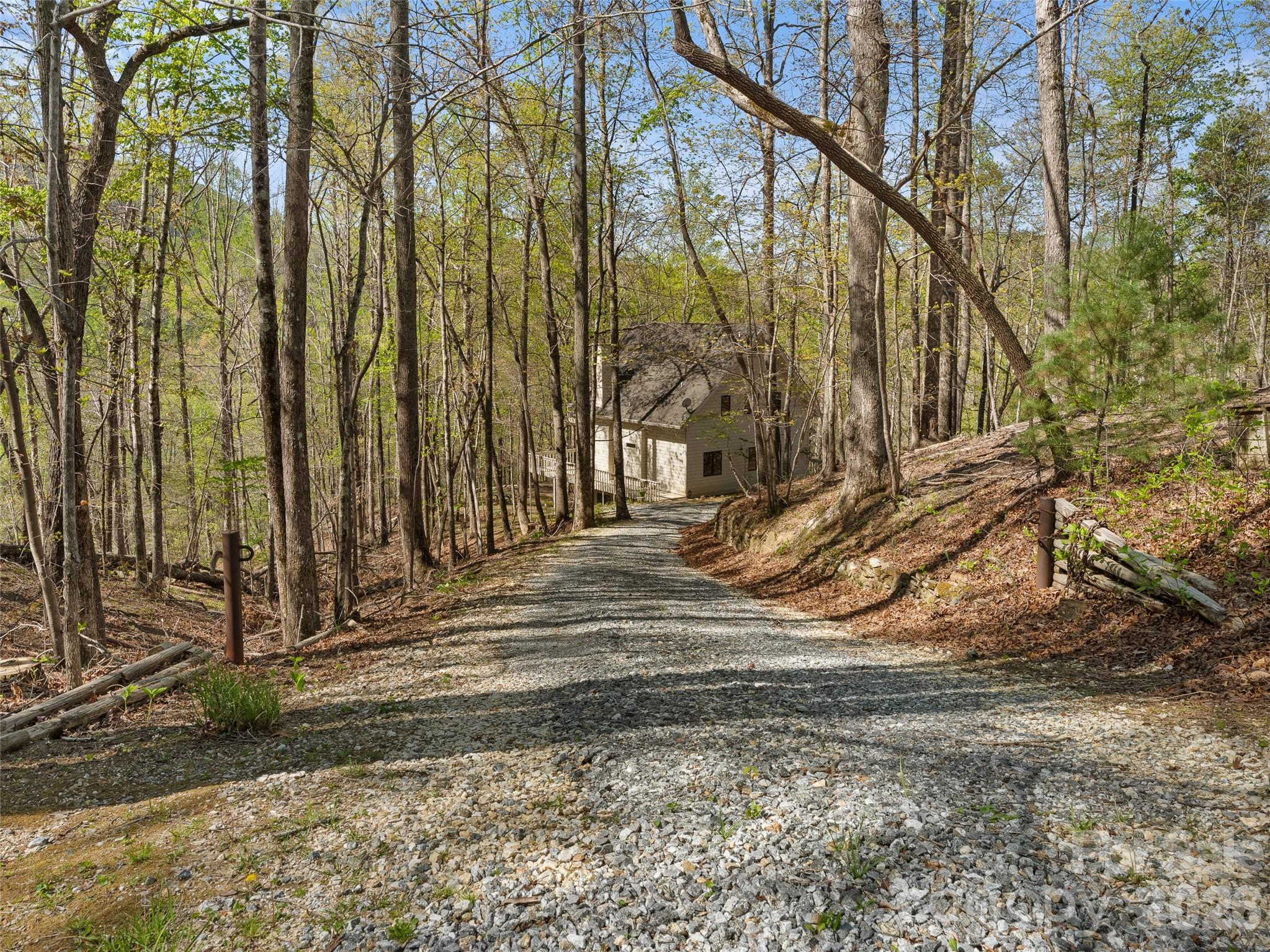 43 Hungryneck Hollow Lane Saluda NC 28773