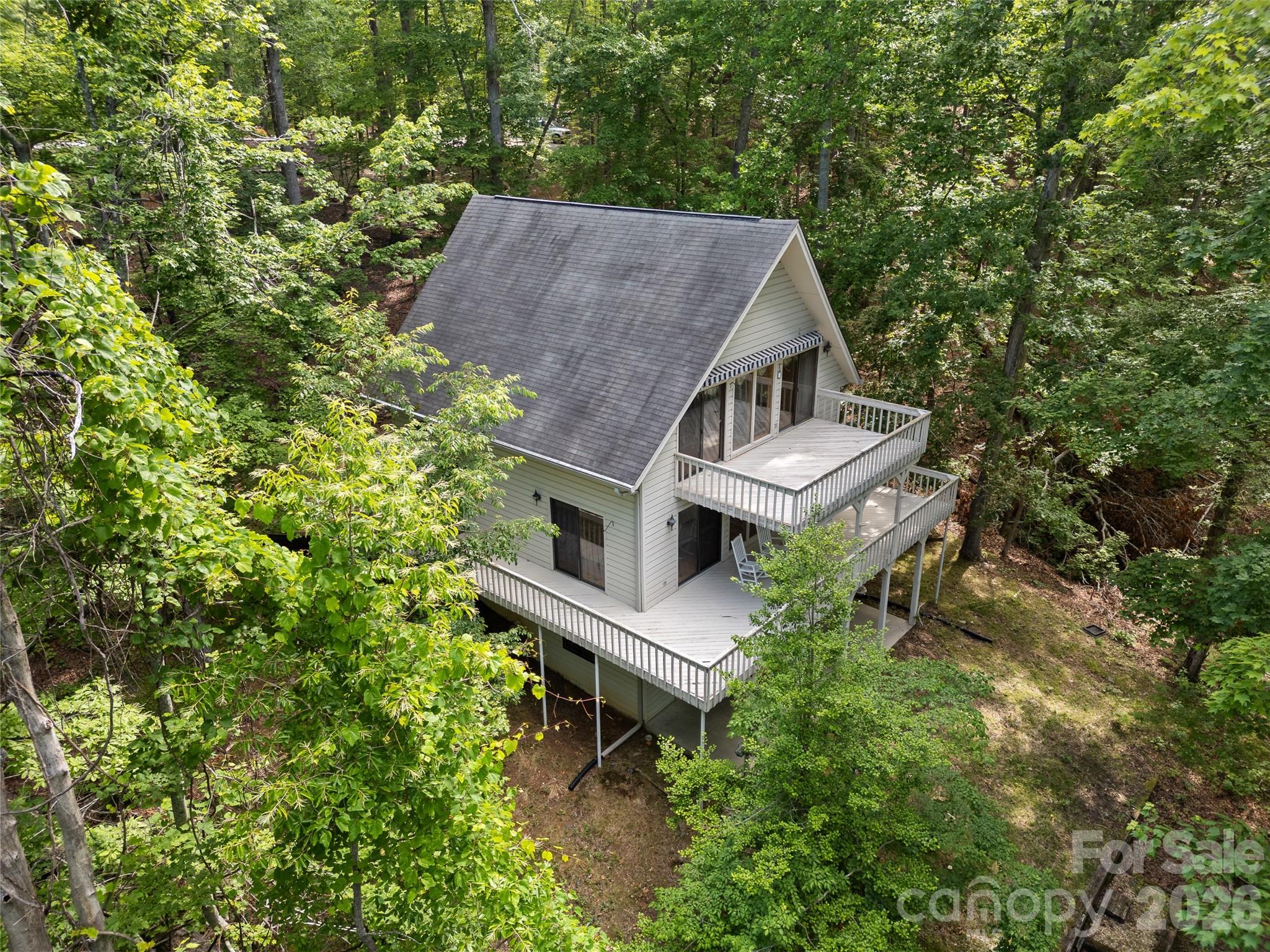 43 Hungryneck Hollow Lane Saluda NC 28773