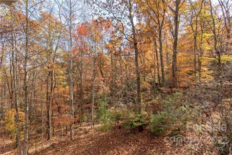 24 Fox Lair Lane Hendersonville NC 28791