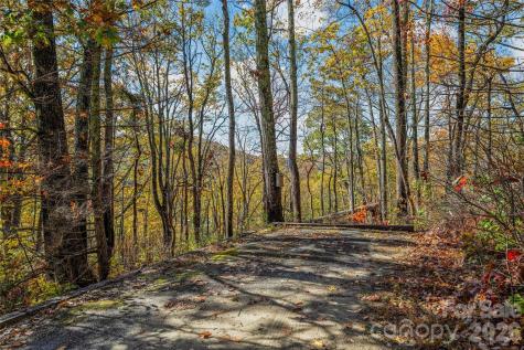 499 E Poplar Drive Hendersonville NC 28792