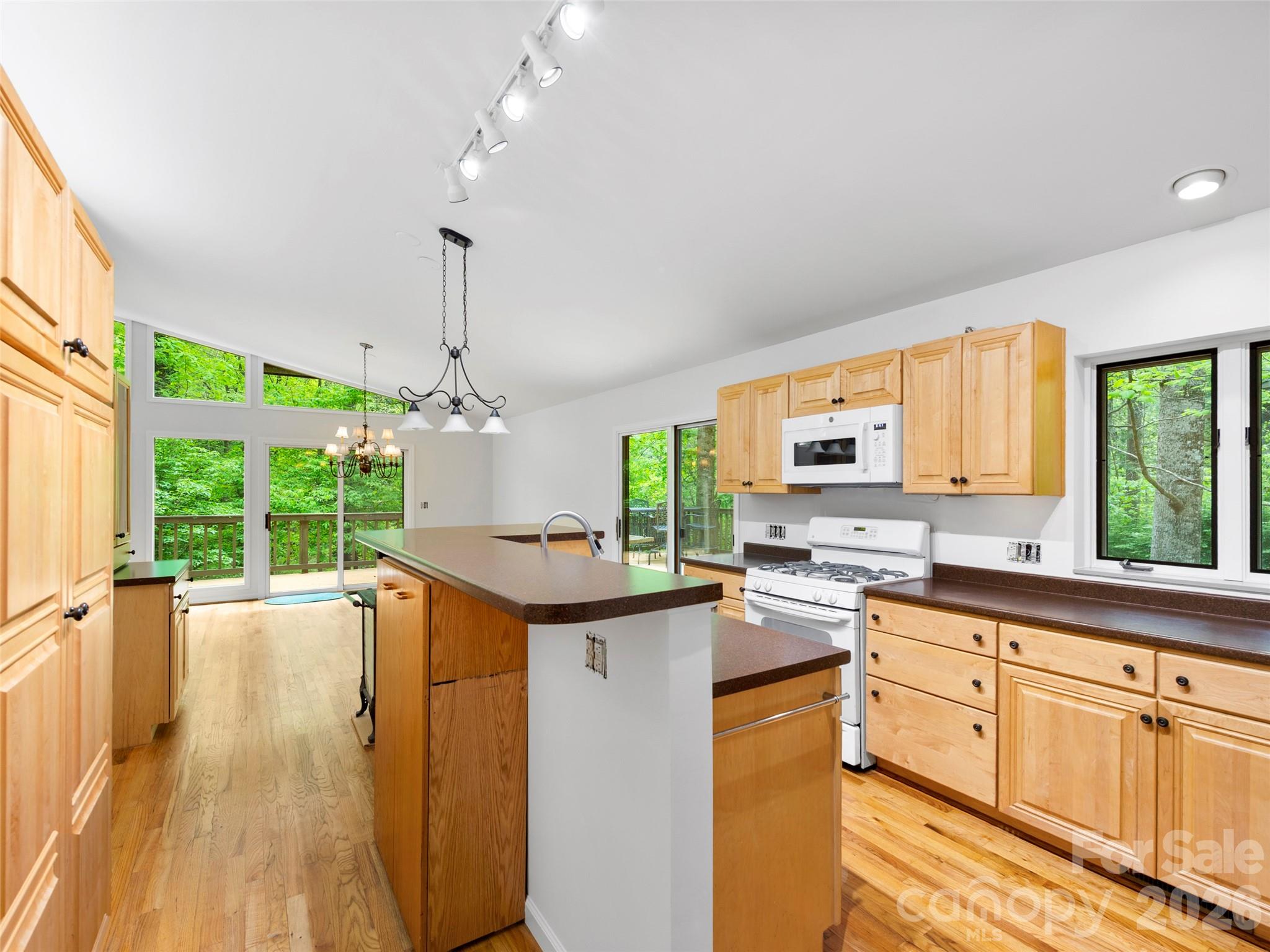 22 Delacy Drive Hendersonville NC 28739