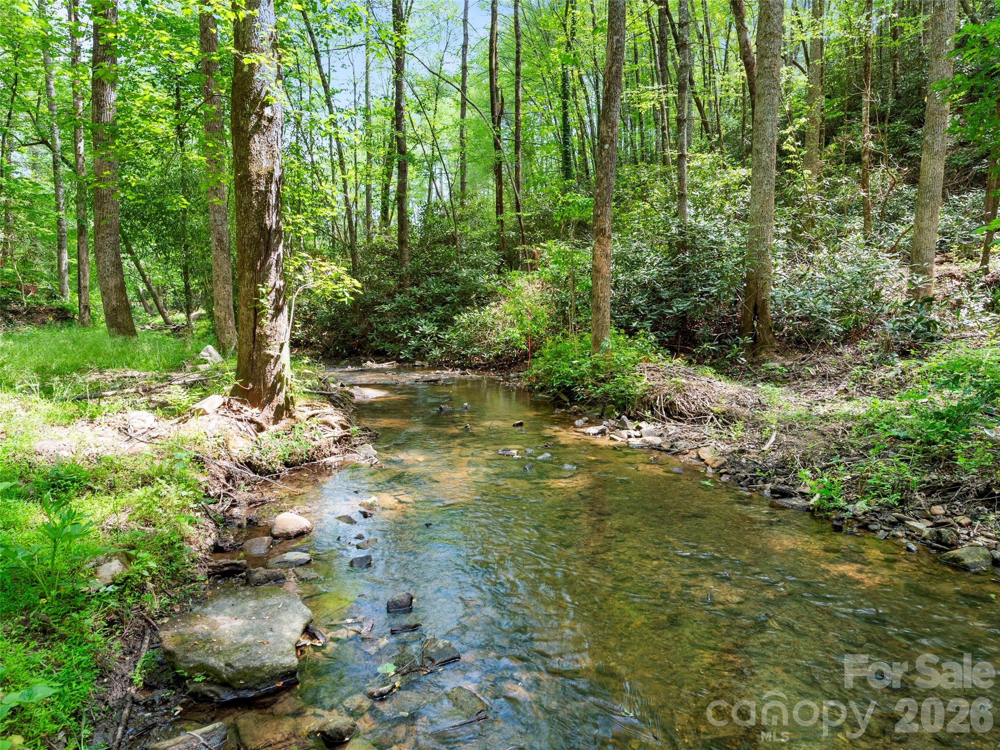 22 Delacy Drive Hendersonville NC 28739