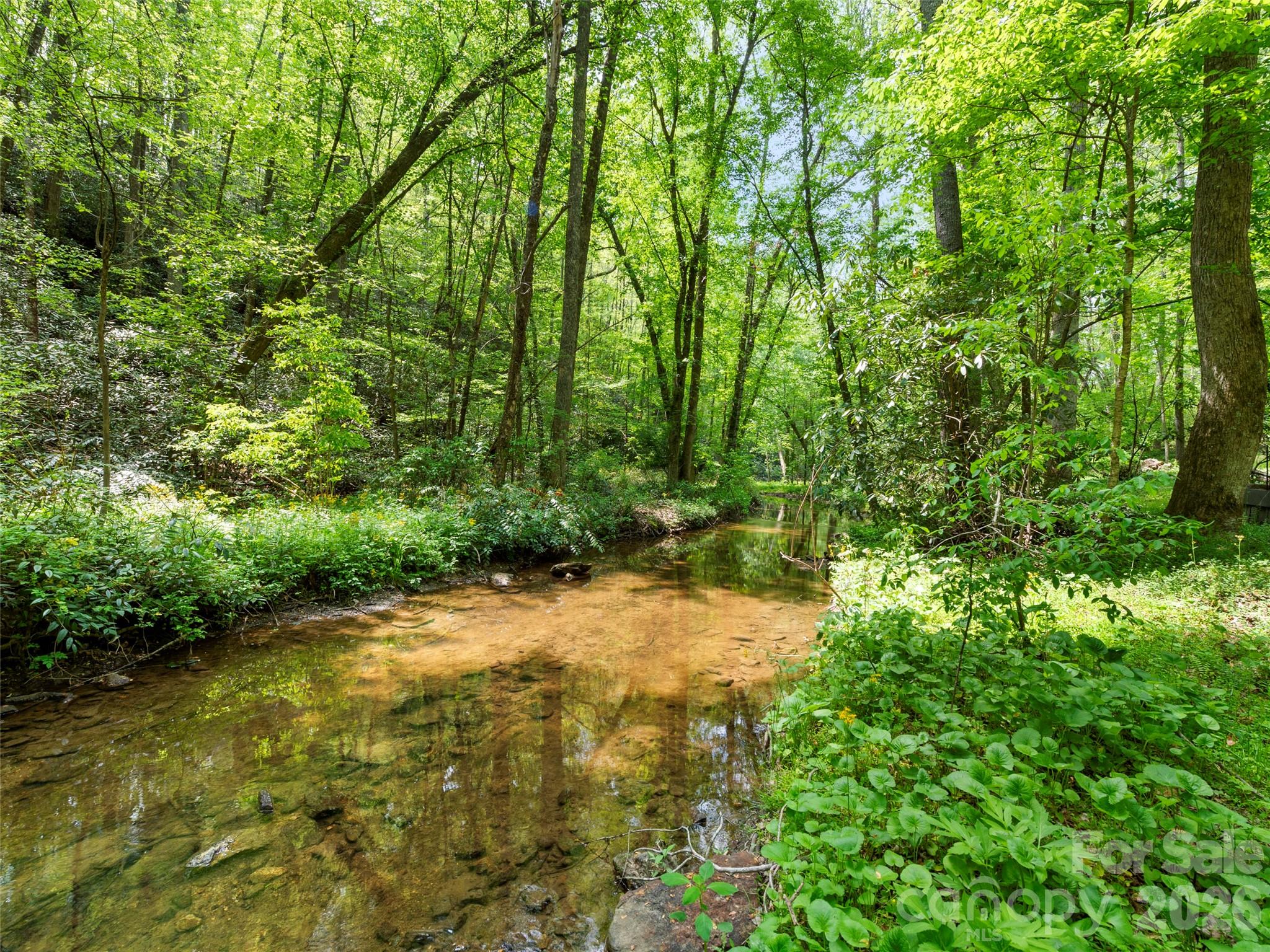 22 Delacy Drive Hendersonville NC 28739