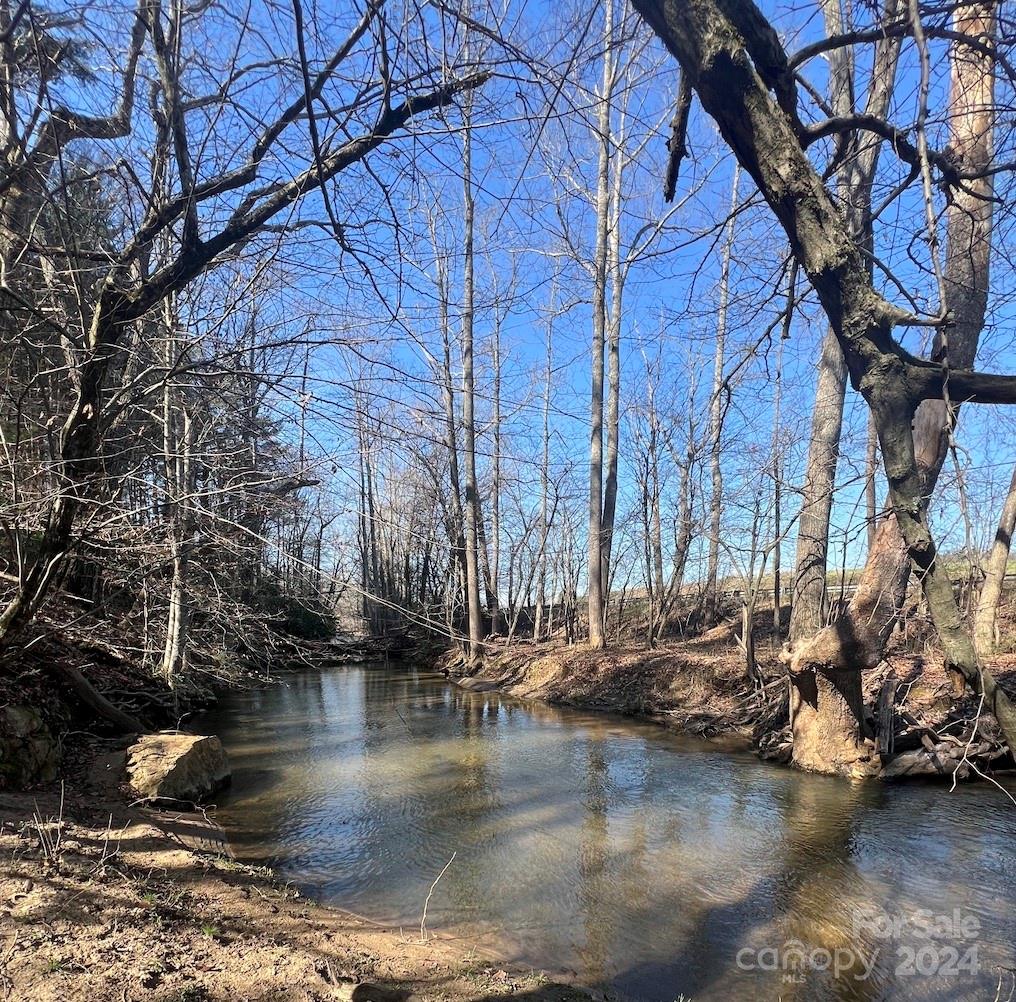 2 Cornelia Lane Weaverville NC 28787