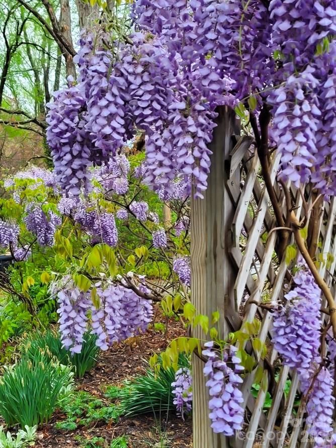 75 Cisco Road Asheville NC 28805