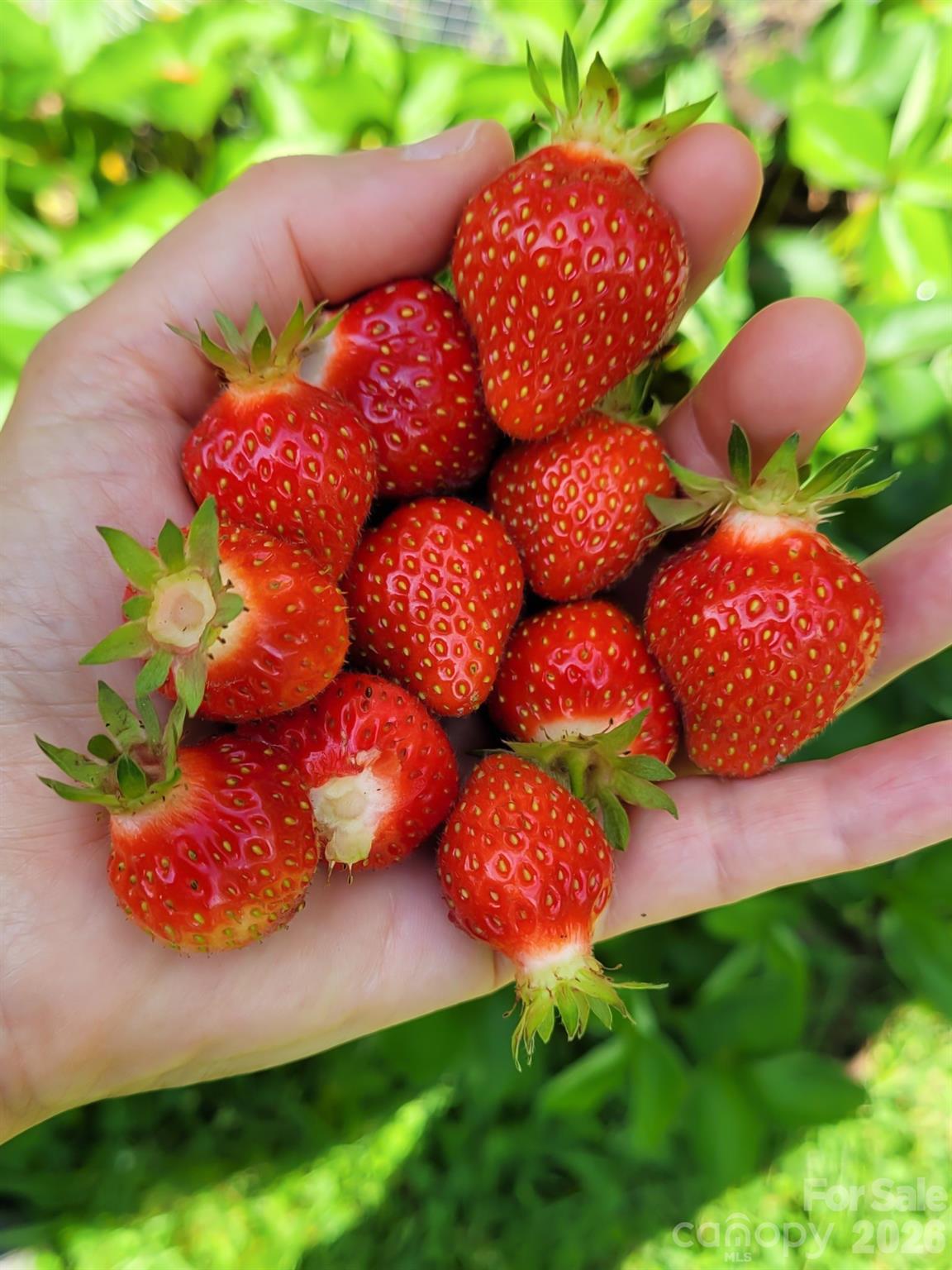 75 Cisco Road Asheville NC 28805