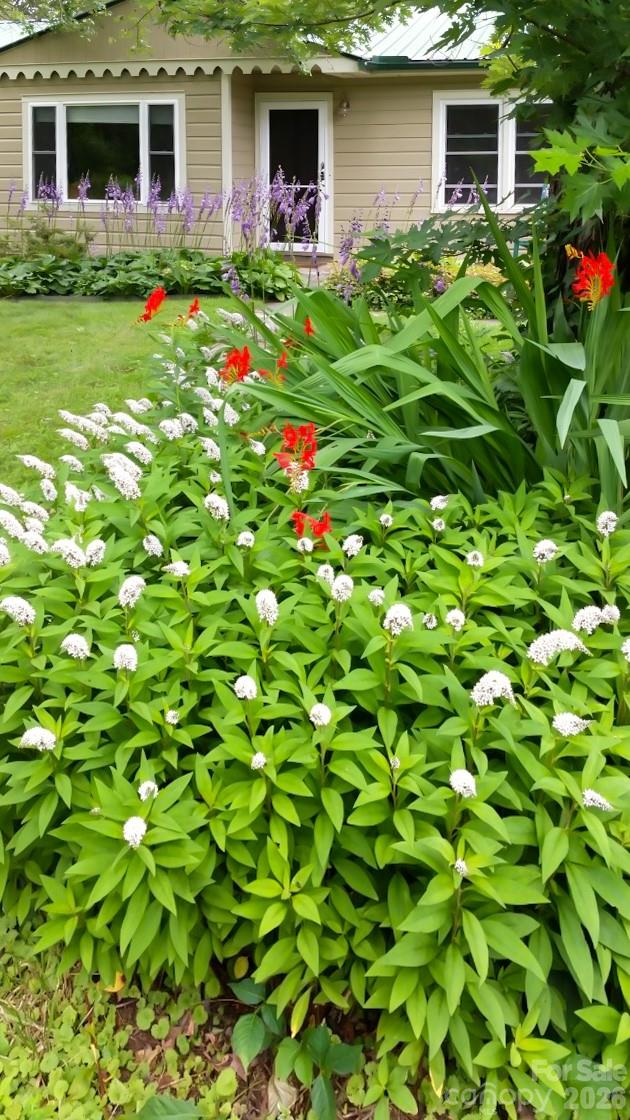 75 Cisco Road Asheville NC 28805