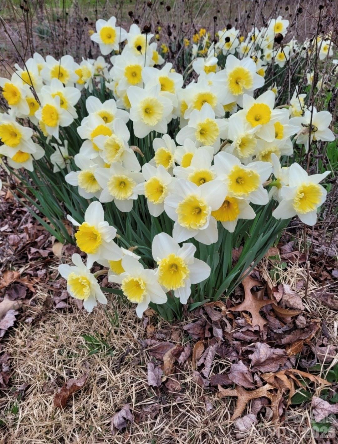 75 Cisco Road Asheville NC 28805