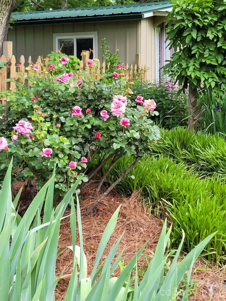 75 Cisco Road Asheville NC 28805