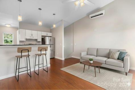 14 Annie Street Asheville NC 28806