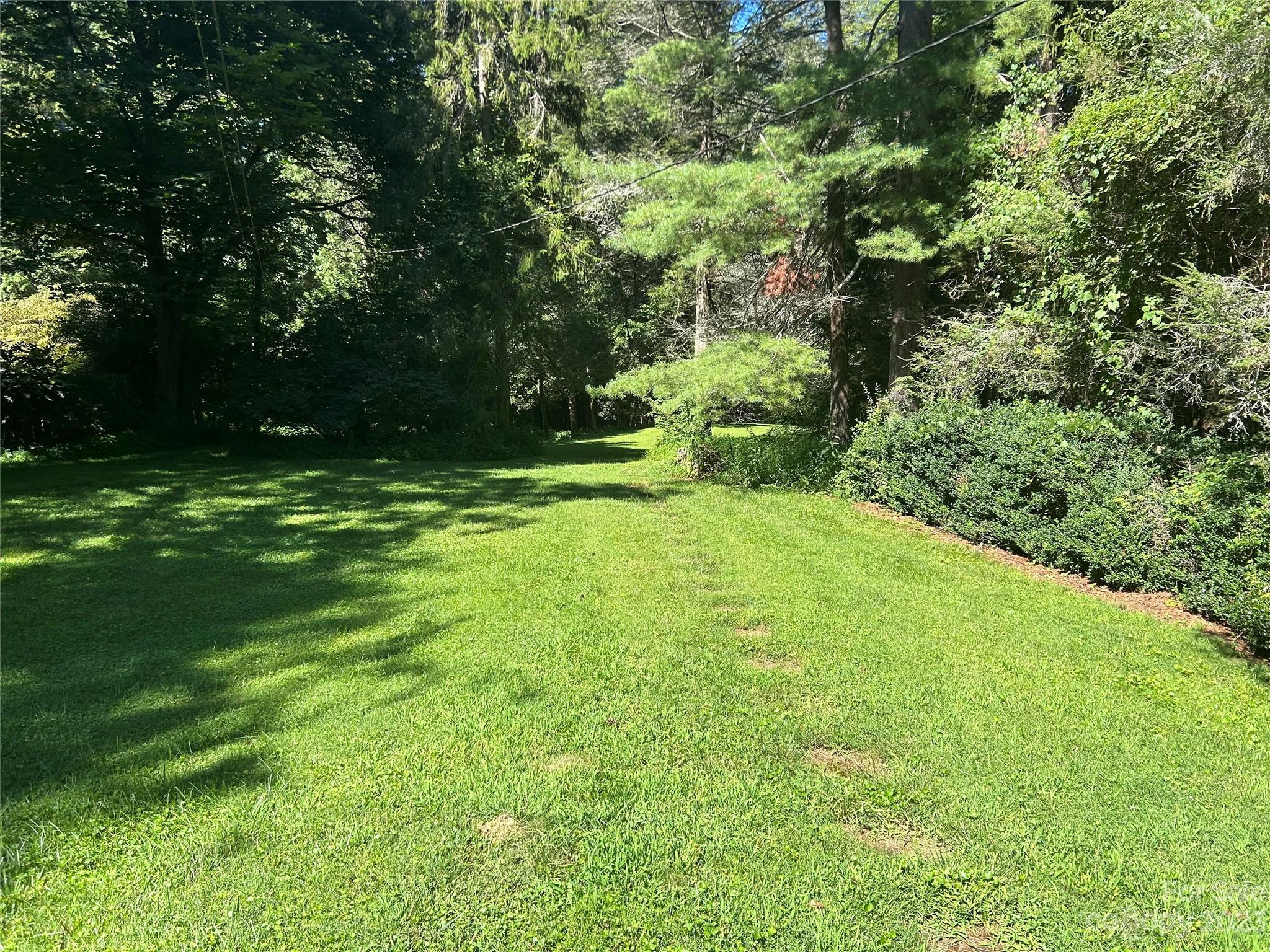 313 Vanderbilt Road Asheville NC 28803