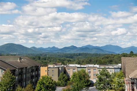 301 Ava Lane Asheville NC 28804