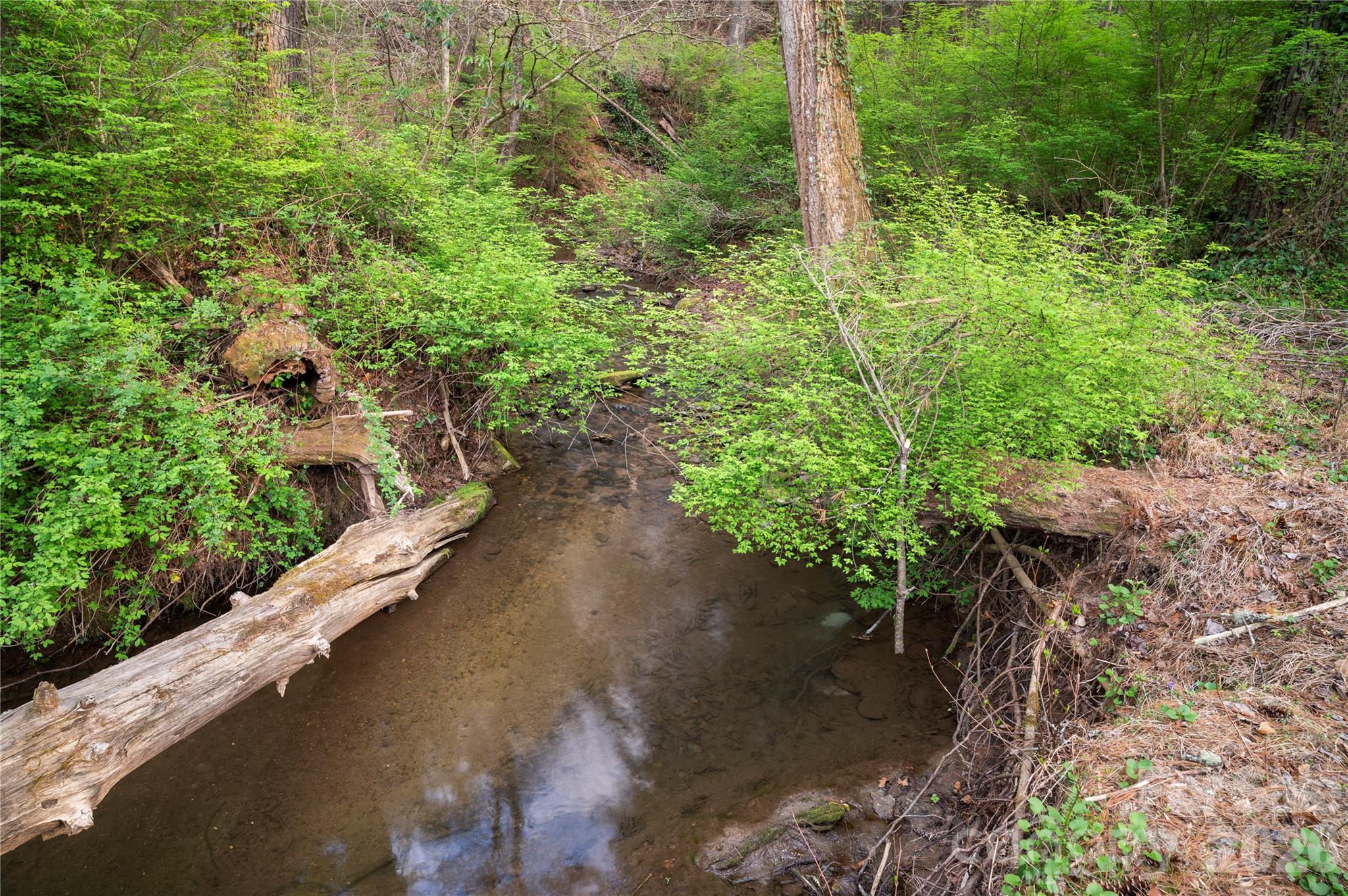 3002 Kanuga Road Hendersonville NC 28739