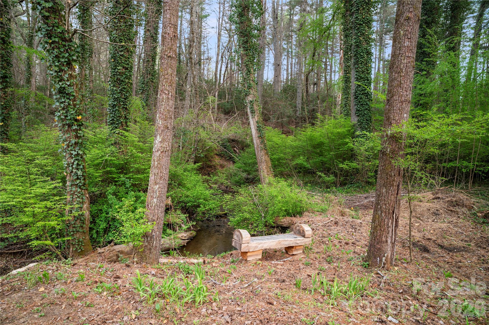 3002 Kanuga Road Hendersonville NC 28739