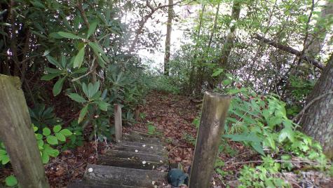 216 Paradise Road Hendersonville NC 28792
