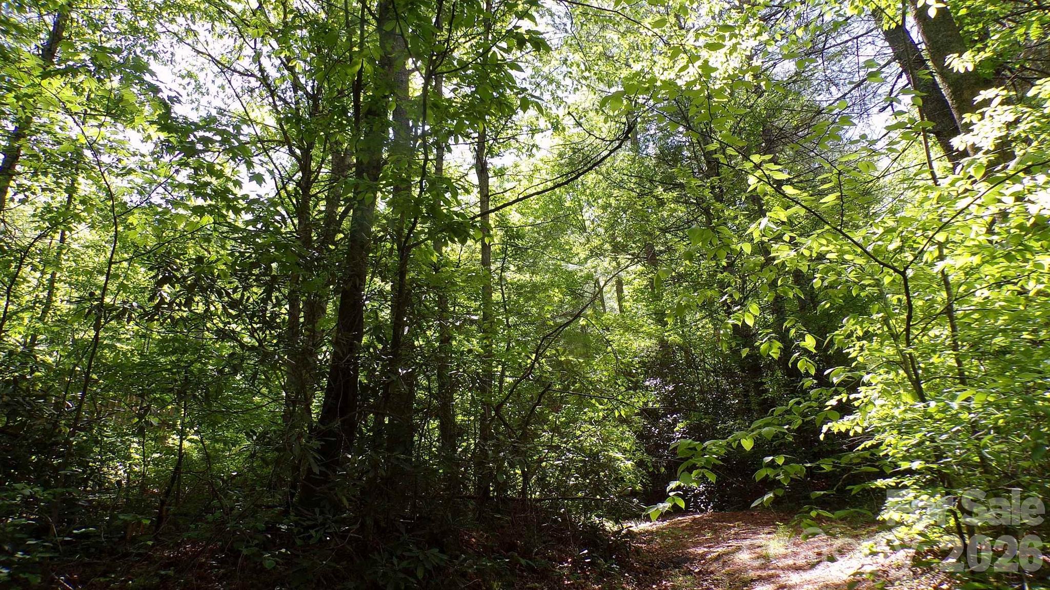 216 Paradise Road Hendersonville NC 28792
