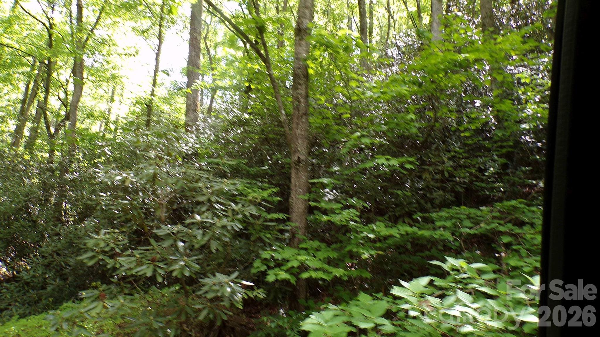 216 Paradise Road Hendersonville NC 28792