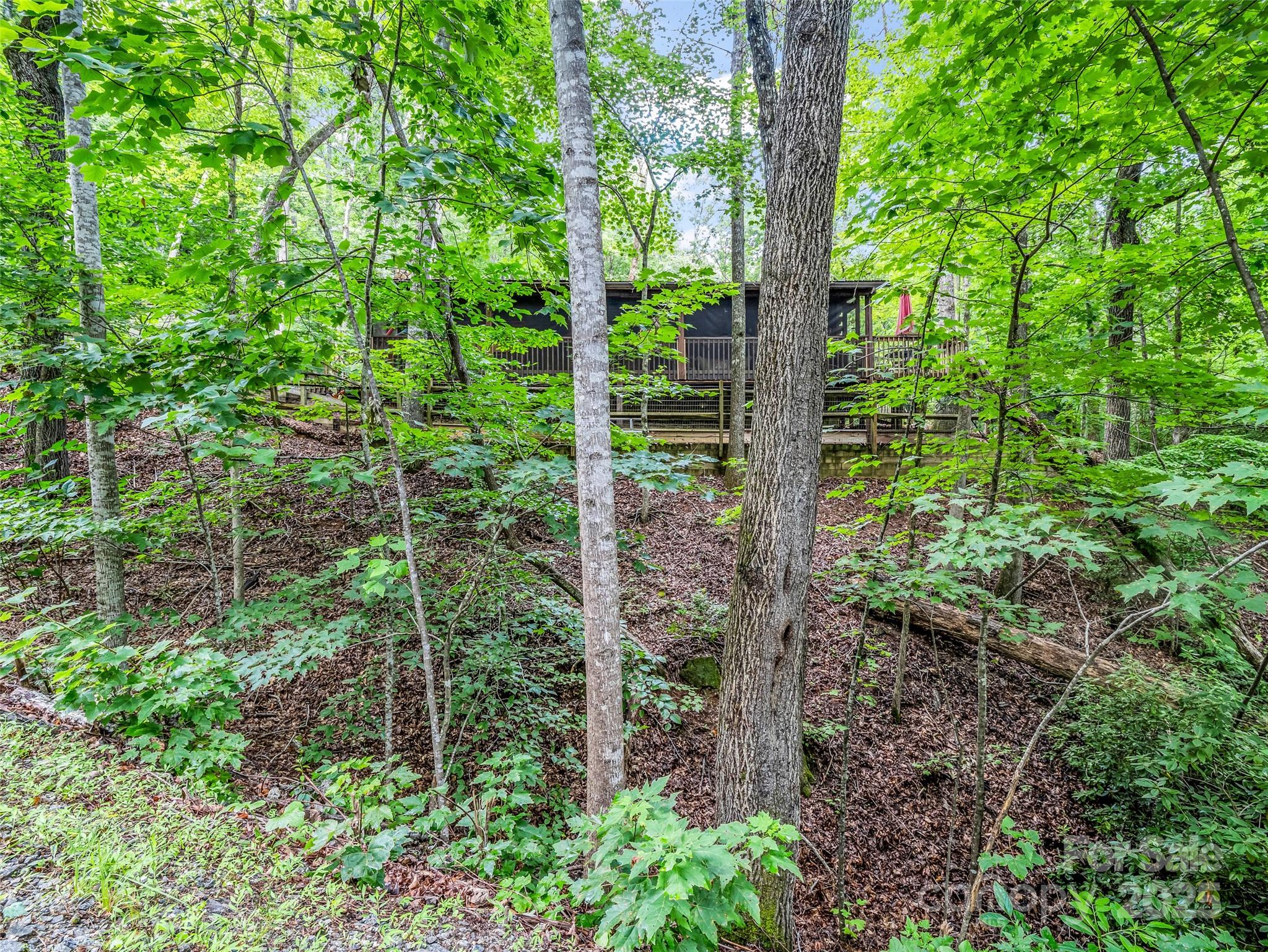 116 Chalet Road Lake Lure NC 28746