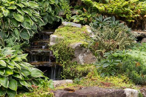 53 Cedar Hill Drive Asheville NC 28803