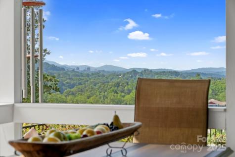 10 Audubon Drive Asheville NC 28804