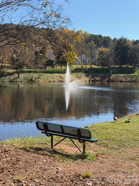7167 April Mist Trail Huntersville NC 28078