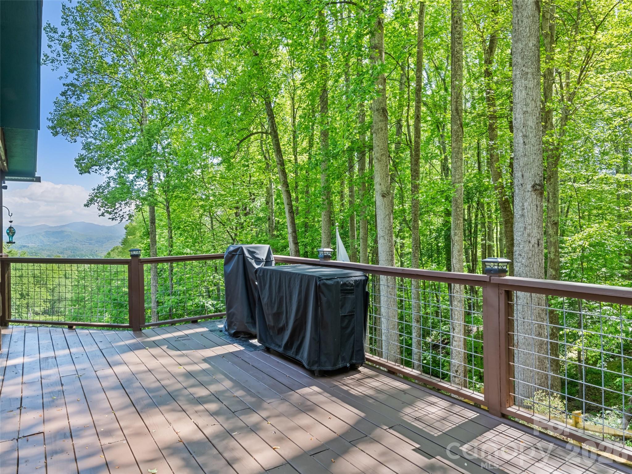 1073 Lentini Drive Waynesville NC 28785