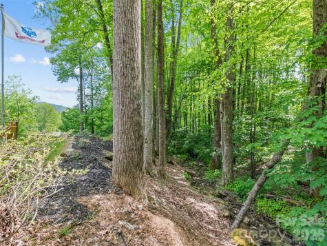 1073 Lentini Drive Waynesville NC 28785