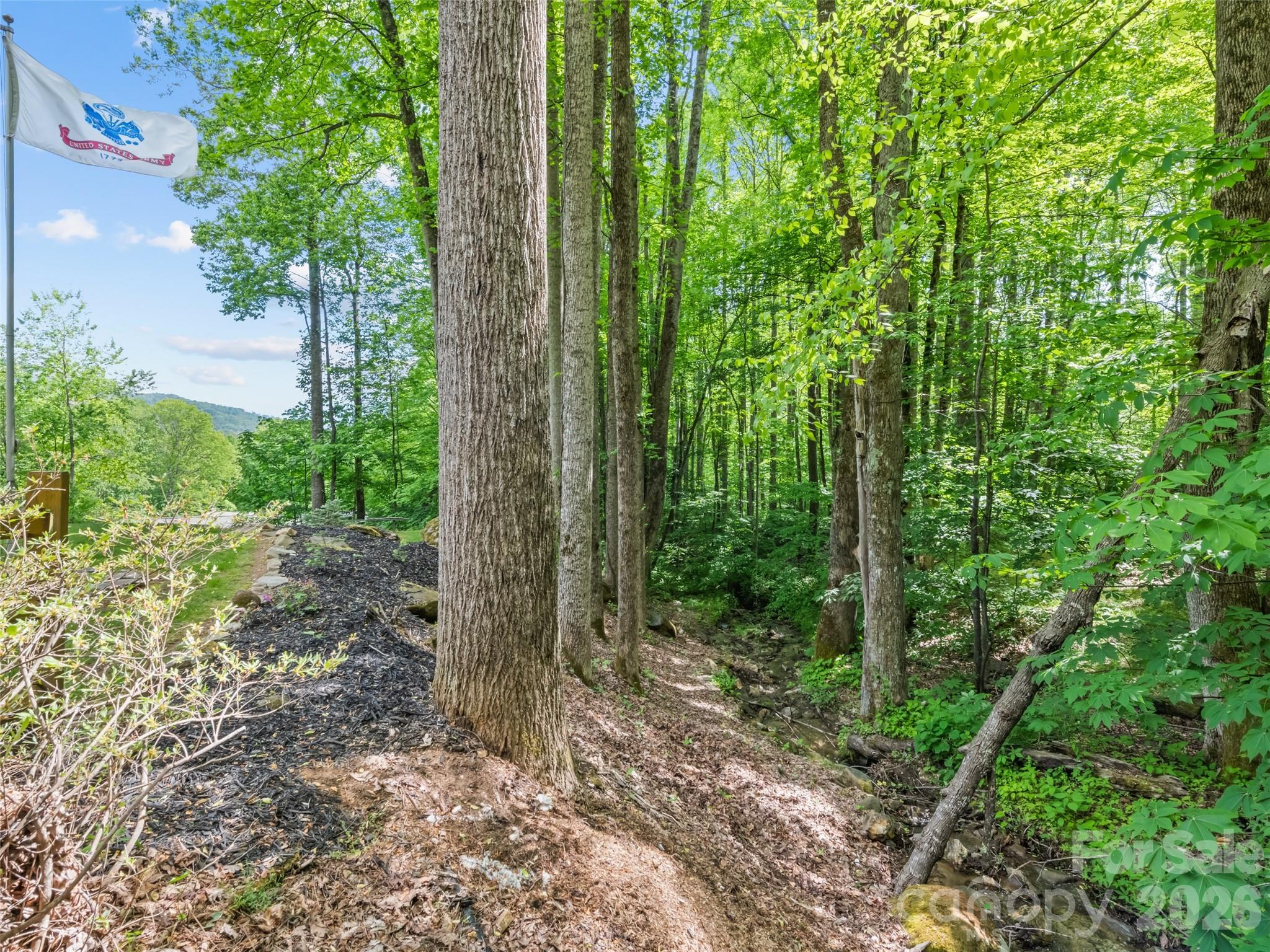1073 Lentini Drive Waynesville NC 28785