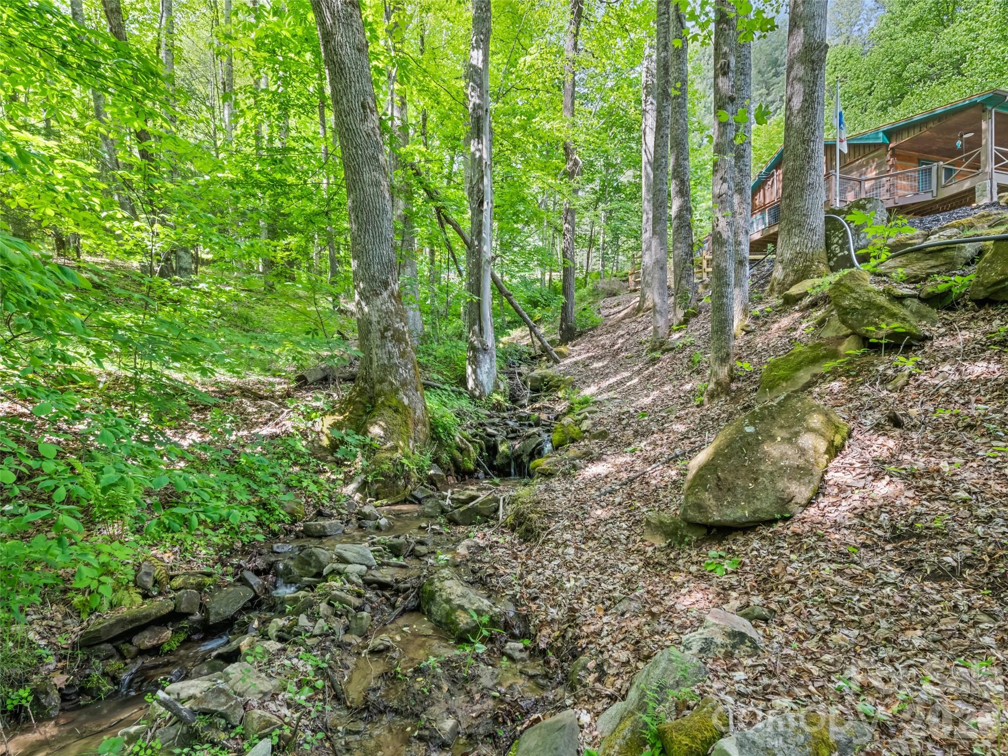 1073 Lentini Drive Waynesville NC 28785