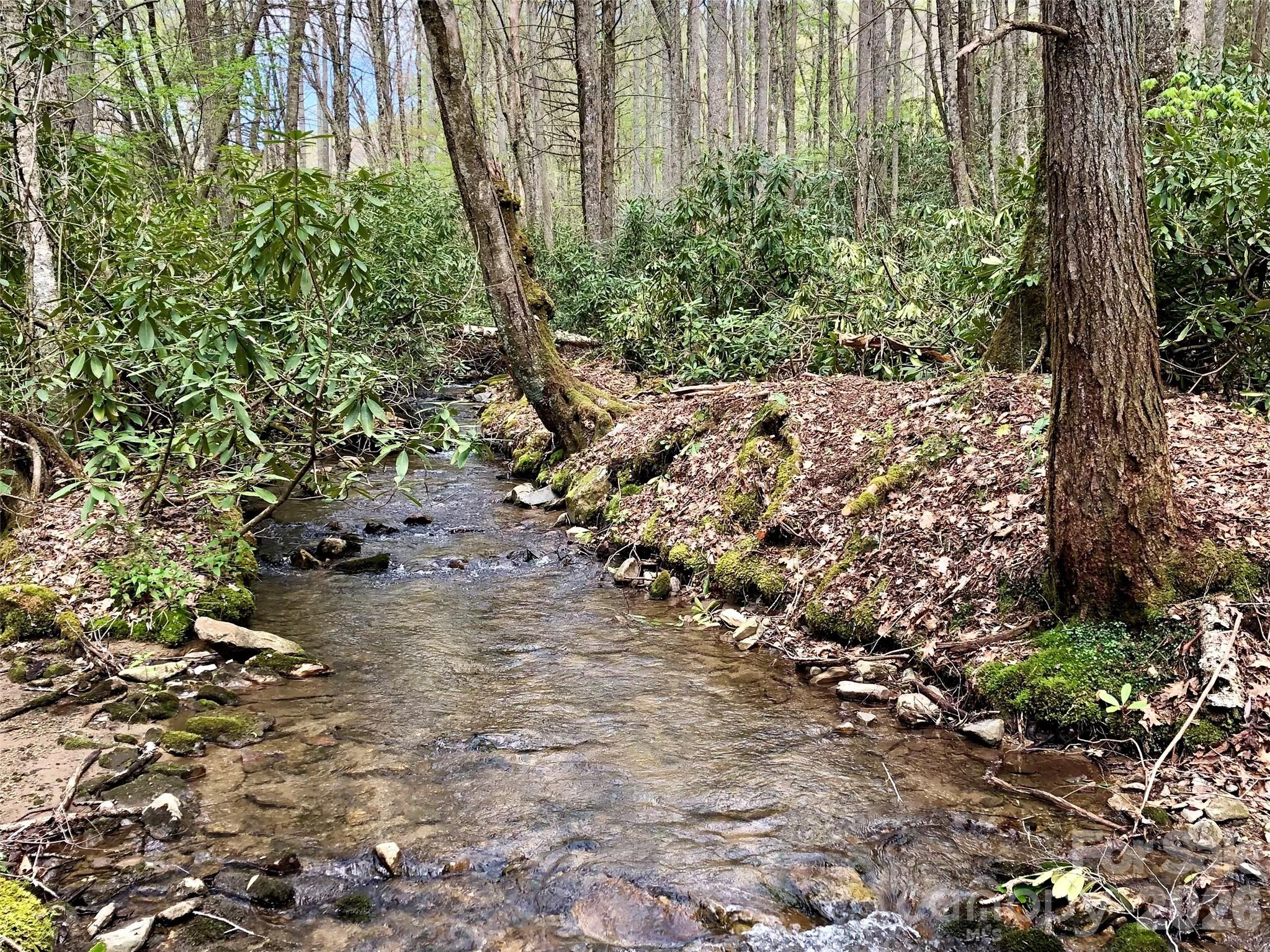 2811 Poplar Creek Road Green Mountain NC 28740