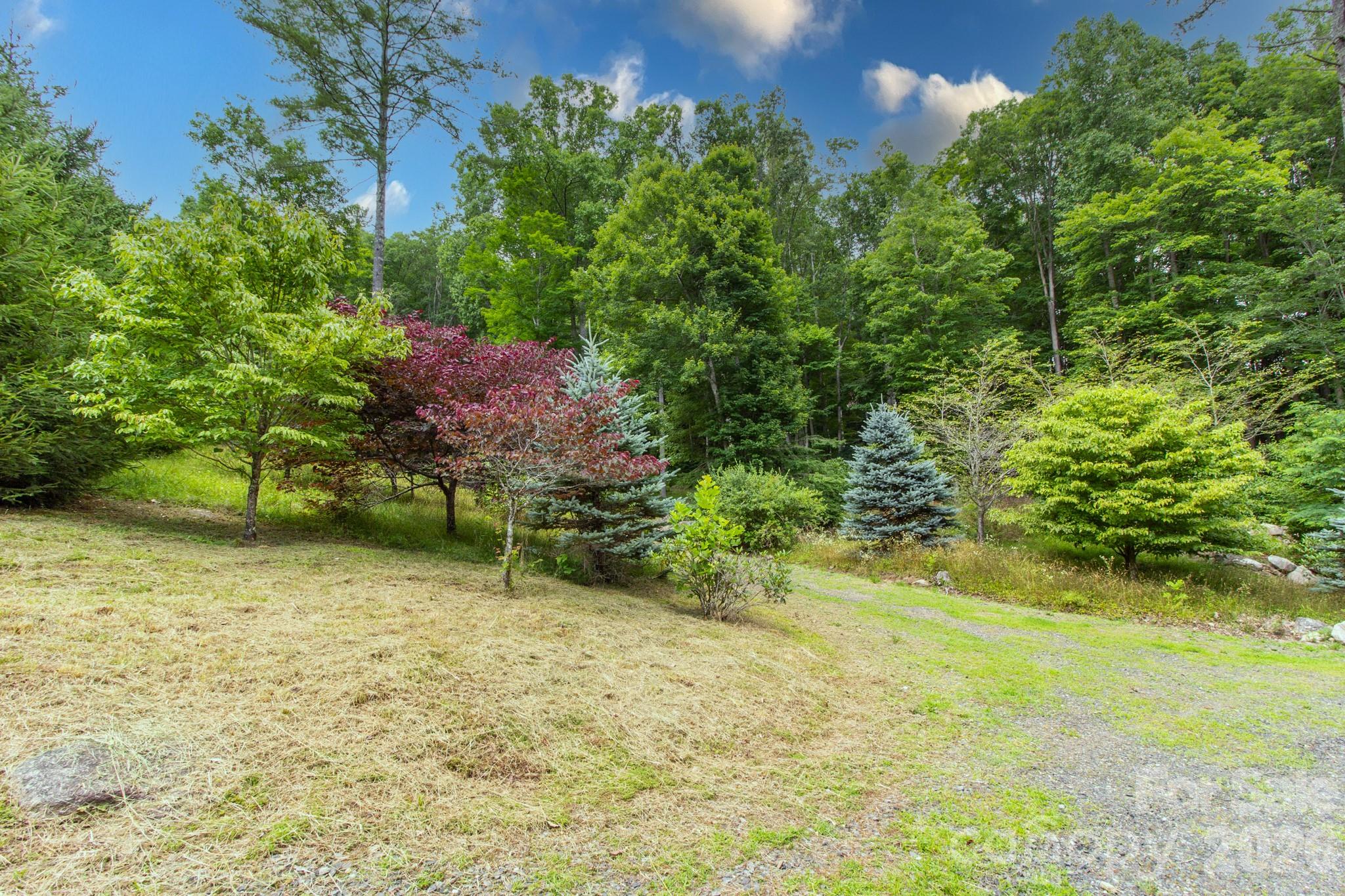 2811 Poplar Creek Road Green Mountain NC 28740