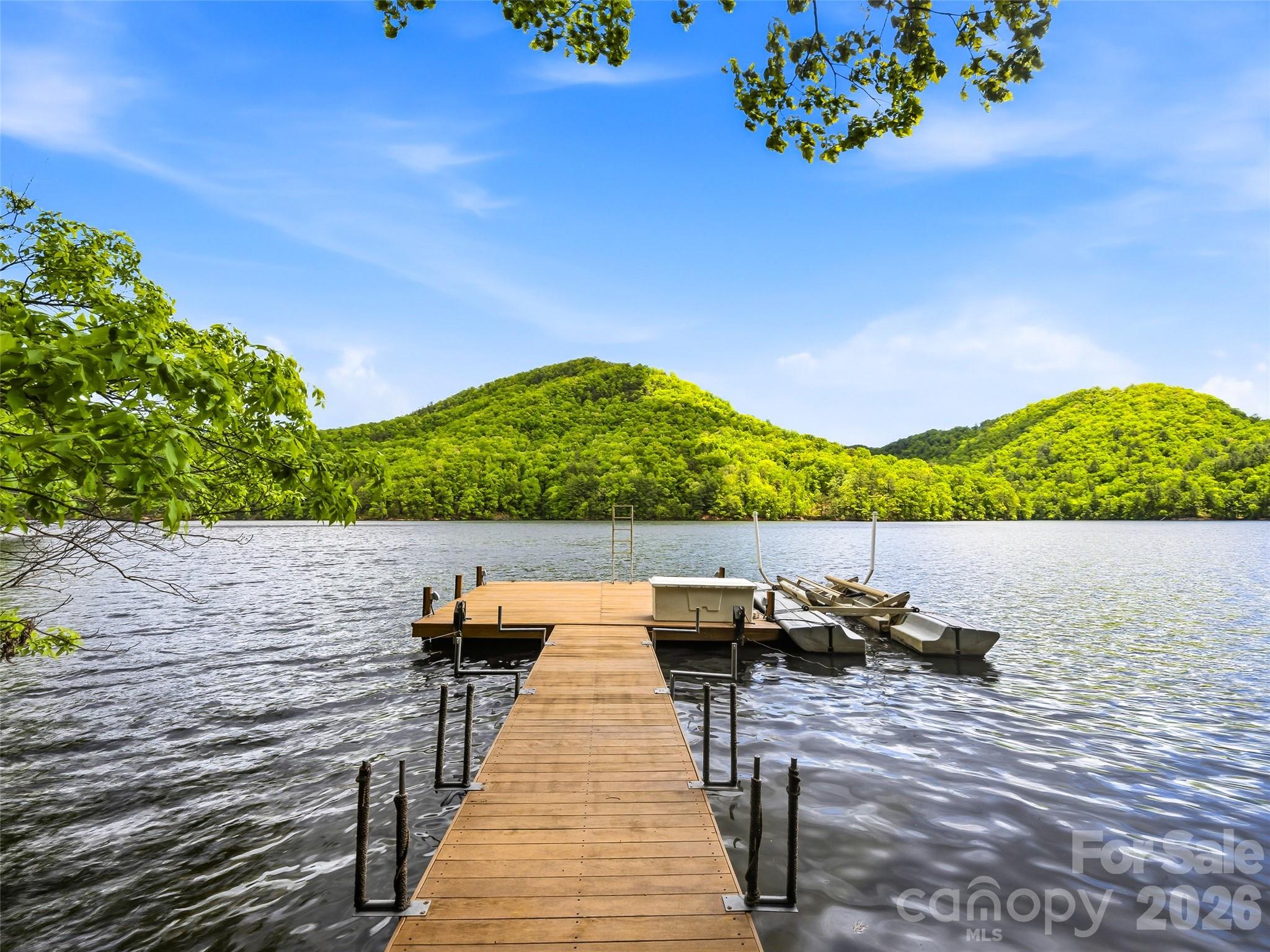 60 Shoreline Drive Tuckasegee NC 28783