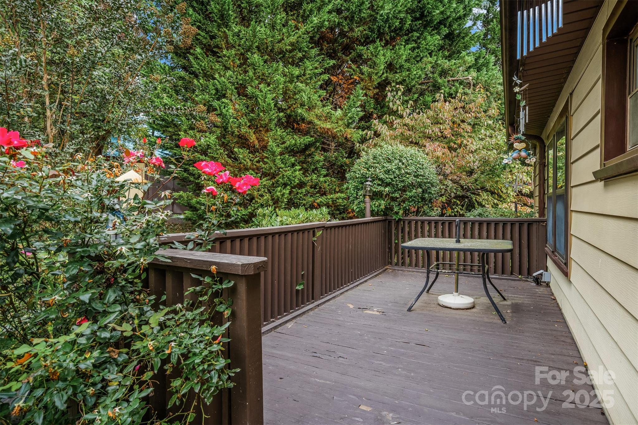 27 Ormond Avenue Asheville NC 28806