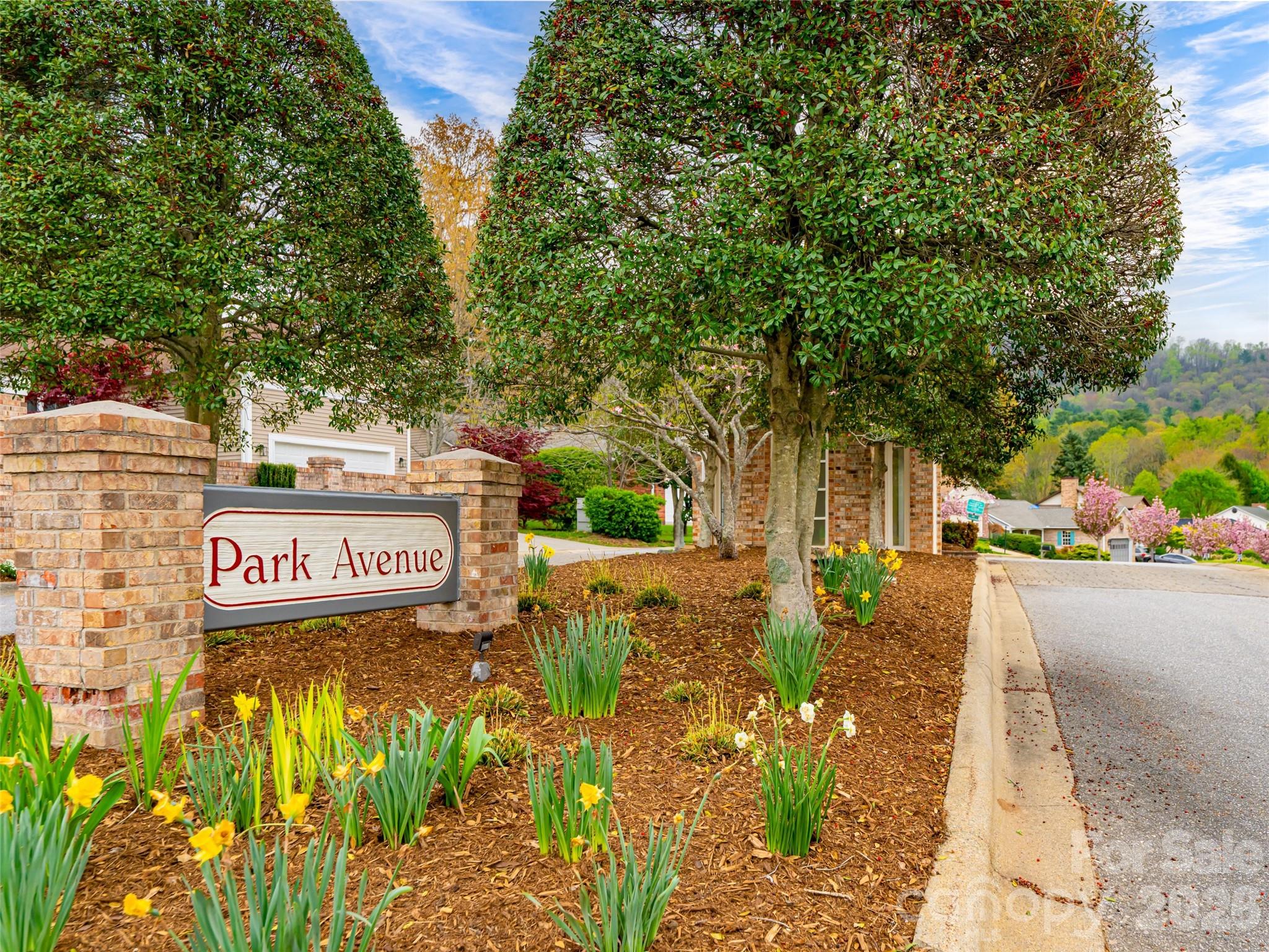 50 Park Avenue Asheville NC 28803