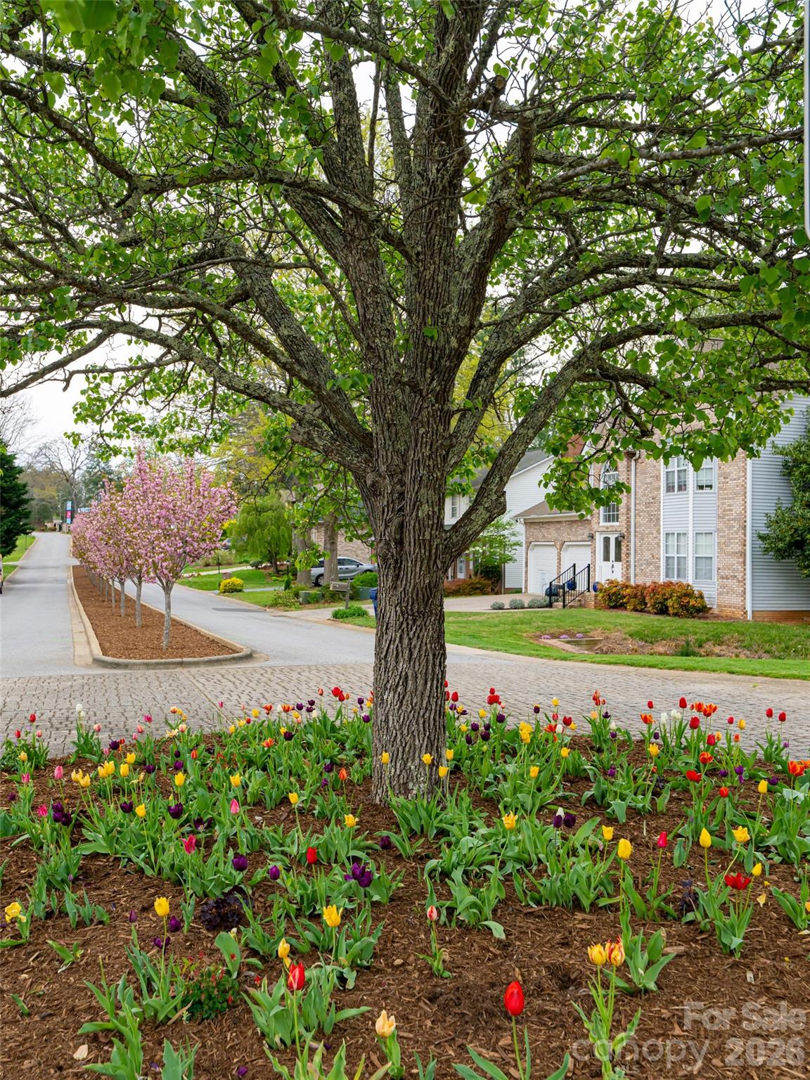 50 Park Avenue Asheville NC 28803