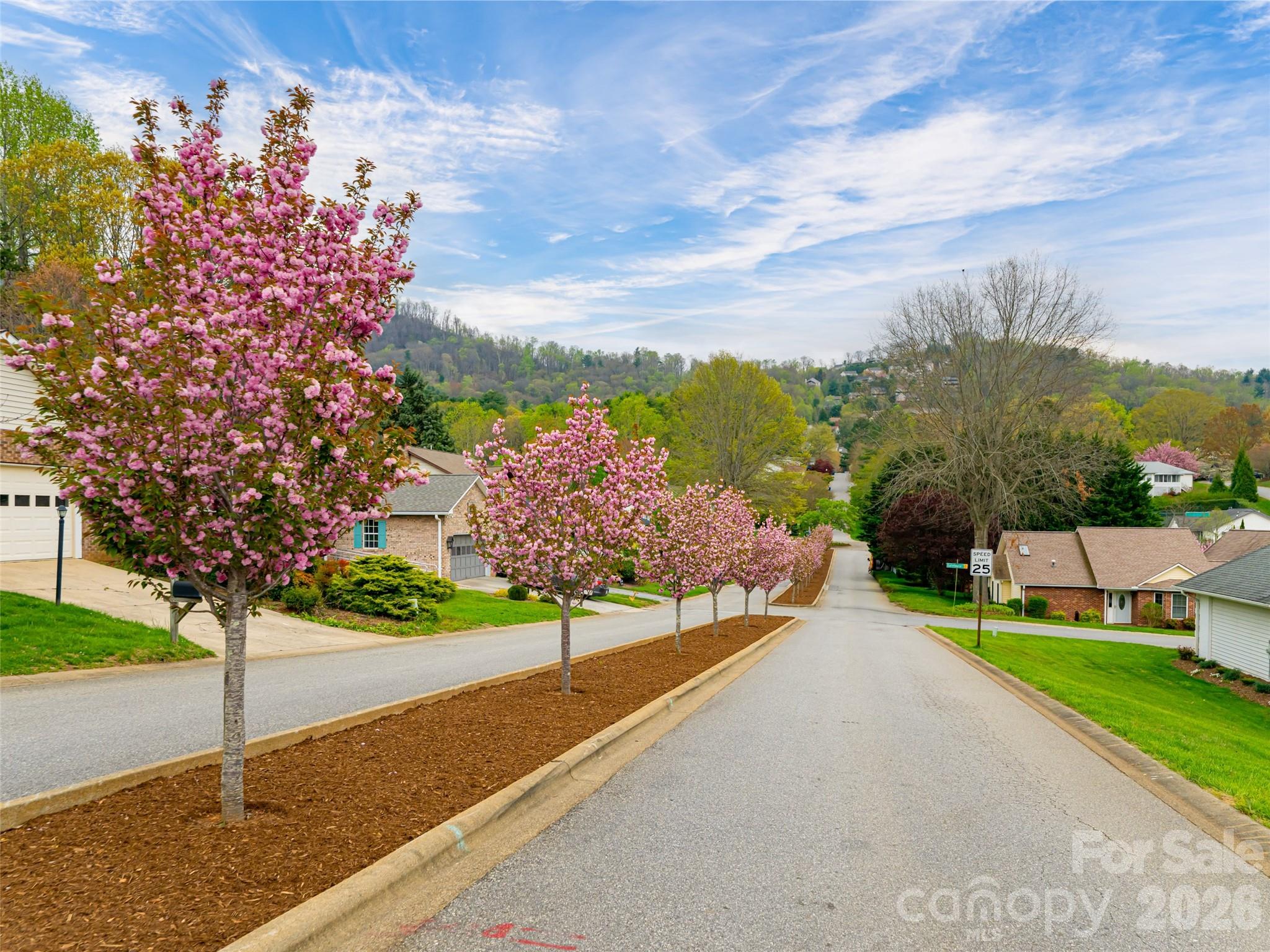 50 Park Avenue Asheville NC 28803