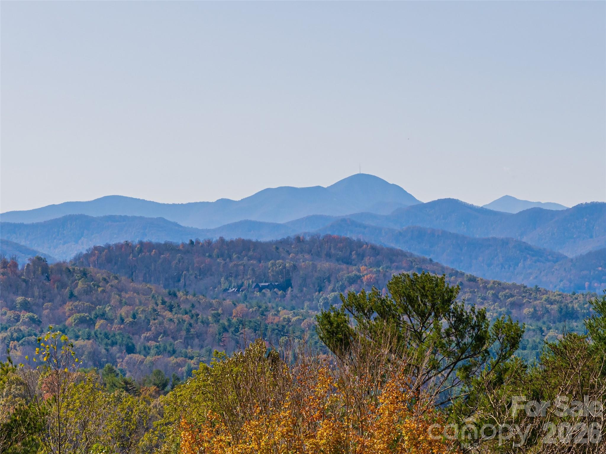 50 Park Avenue Asheville NC 28803