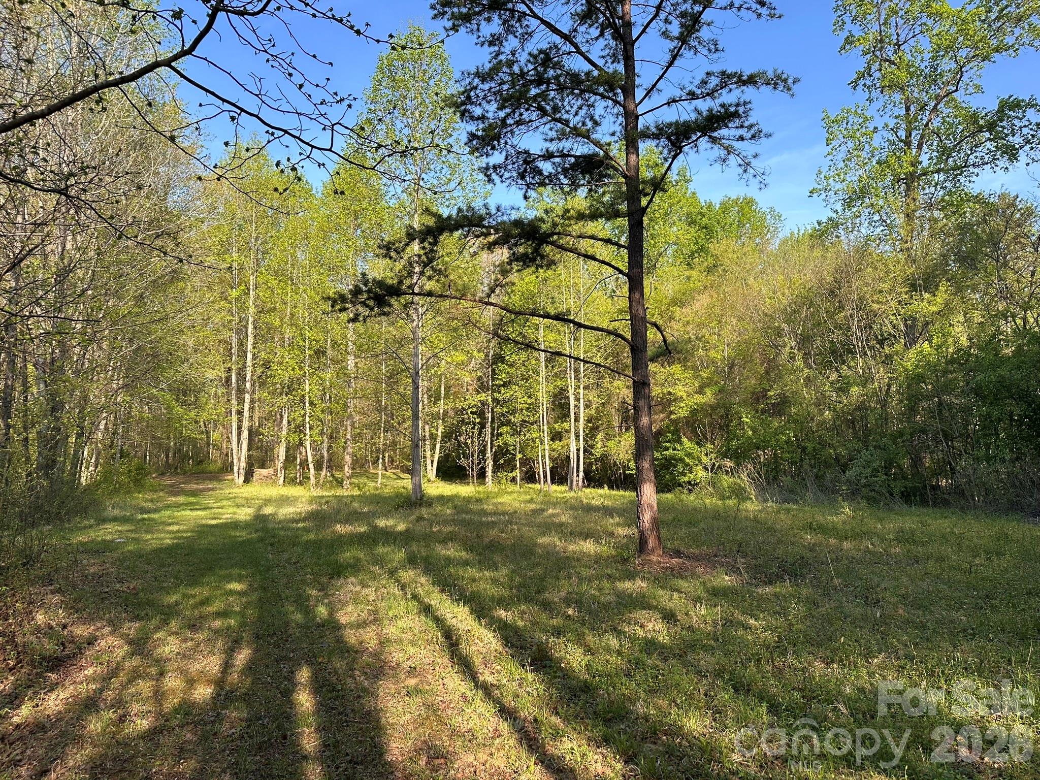 3506 Hayden Drive Charlotte NC 28269