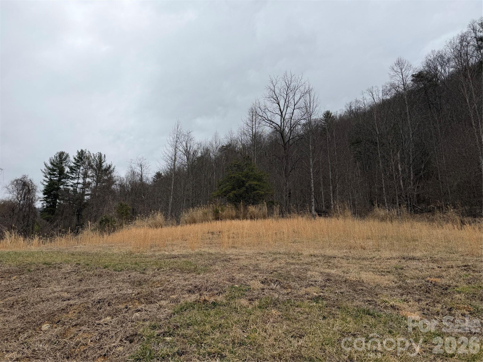 4958 Grapevine Road Marshall NC 28753